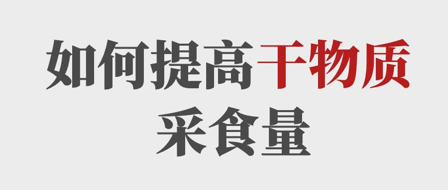 做到這5點(diǎn)提高育肥牛的干物質(zhì)采食量！